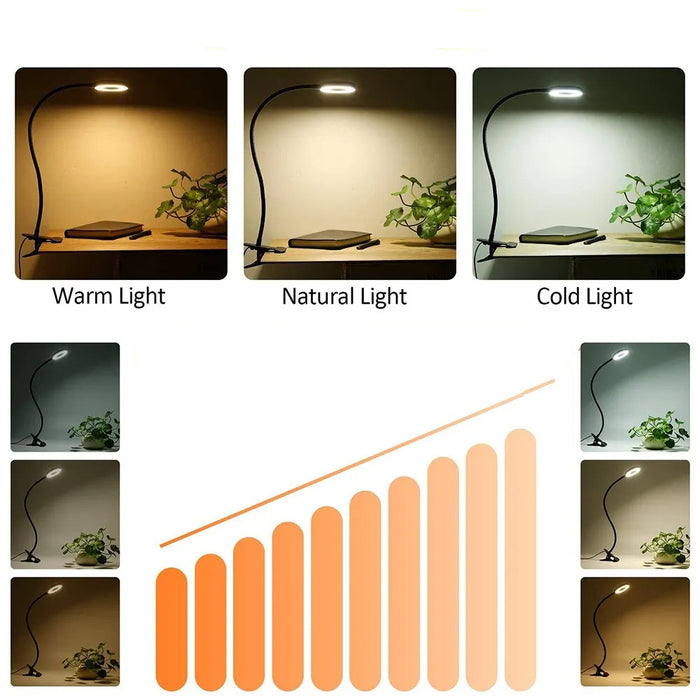 Adjustable LED Desk Lamp with Clip