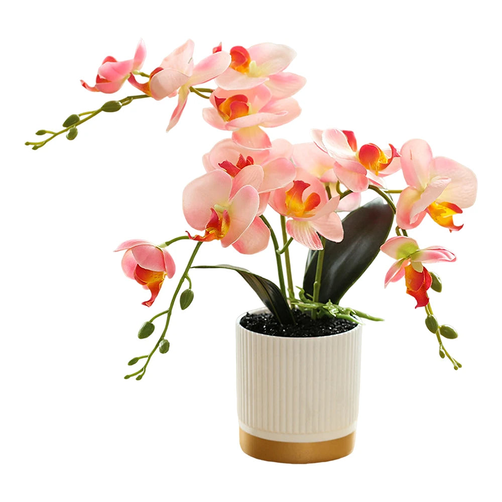 This gorgeous 33cm Artificial Phalaenopsis Orchid Arrangement with Vase is perfect for your Christmas decor. Double Cart provides Best products for your home in Columbus, OH.