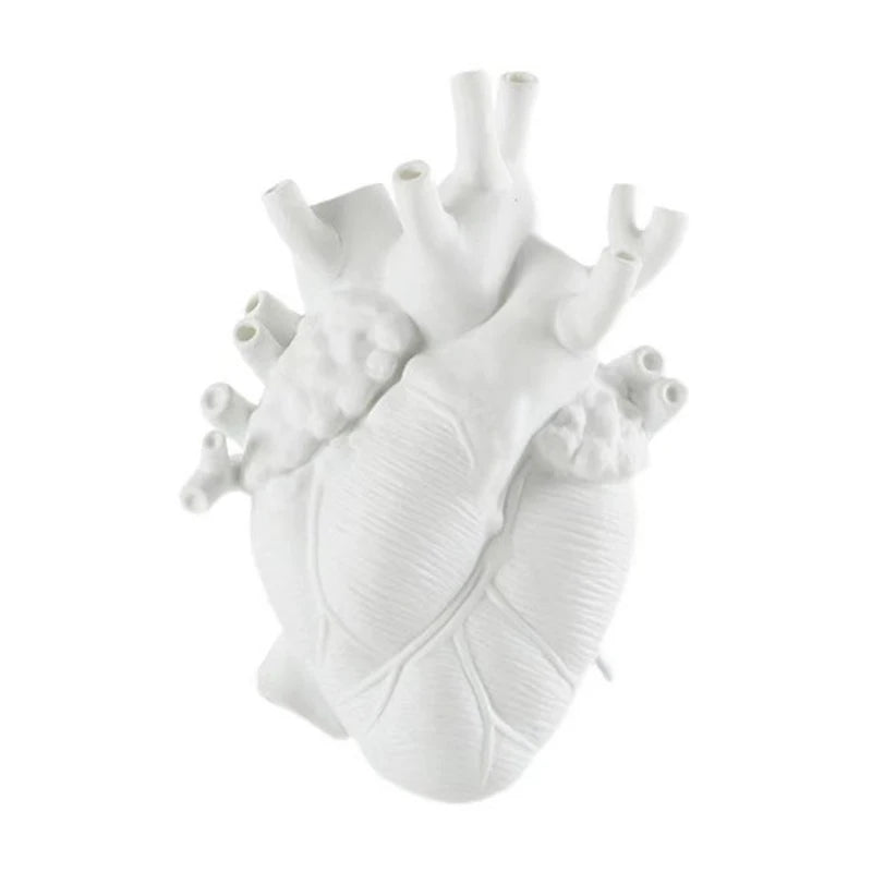 Introducing the Simulation Heart Vase - an anatomical heart vase sculpture crafted in resin, perfect as a unique decorative teaching tool and home decor piece. Double Cart provides Best products for your home in Detroit, MI.
