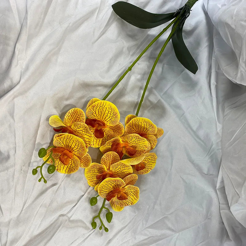 Get ready to elevate your event and home decor with these stunning Real Touch Artificial Butterfly Orchid Branches. Double Cart provides Best products for your home in Boston, MA.