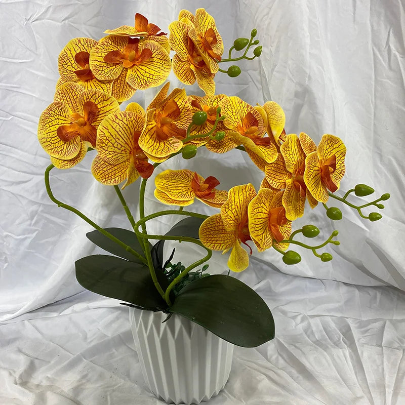 Get ready to elevate your event and home decor with these stunning Real Touch Artificial Butterfly Orchid Branches. Double Cart provides Best products for your home in Cleveland, OH.
