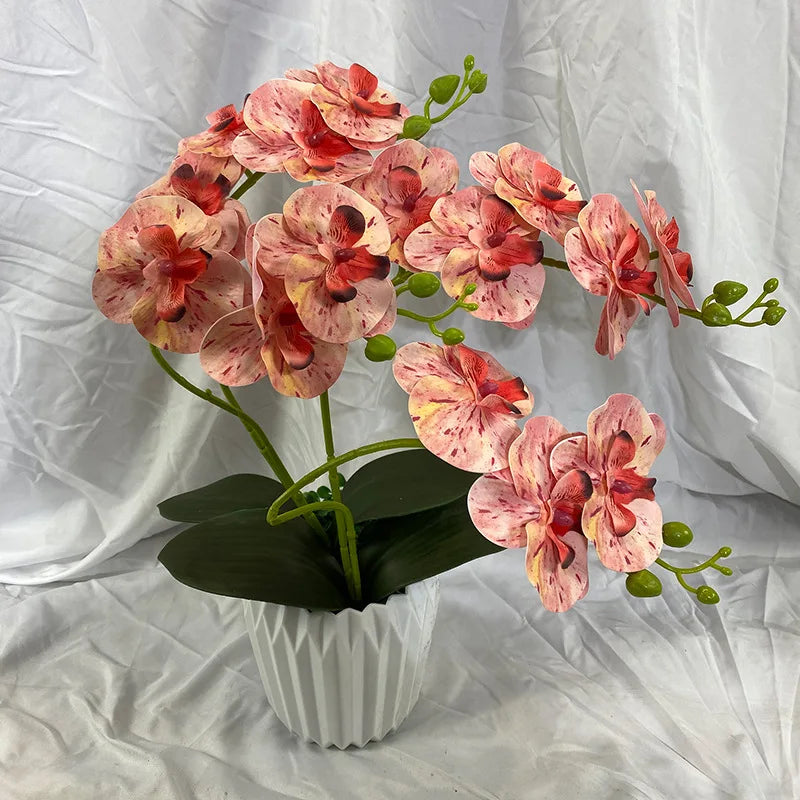 Get ready to elevate your event and home decor with these stunning Real Touch Artificial Butterfly Orchid Branches. Double Cart provides Best products for your home in Los Angeles, CA.