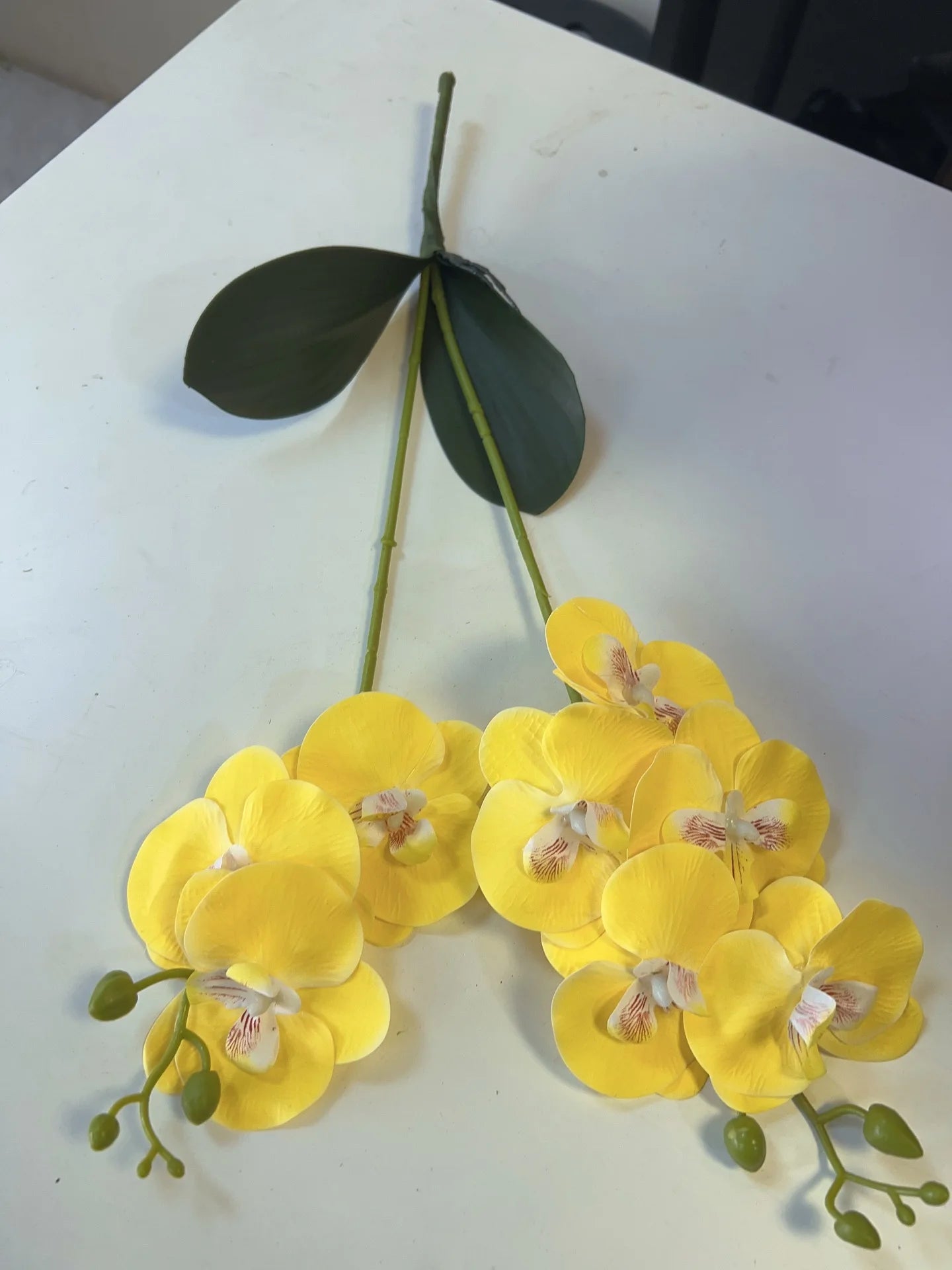 Get ready to elevate your event and home decor with these stunning Real Touch Artificial Butterfly Orchid Branches. Double Cart provides Best products for your home in Milwaukee, WI.